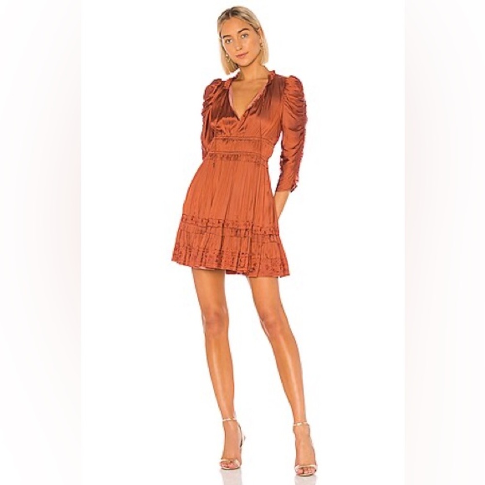Ulla Johnson Luisa Dress 4